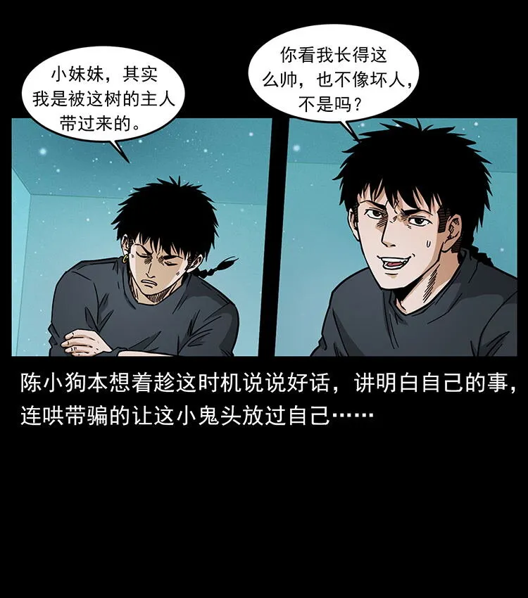 481 树 第70页