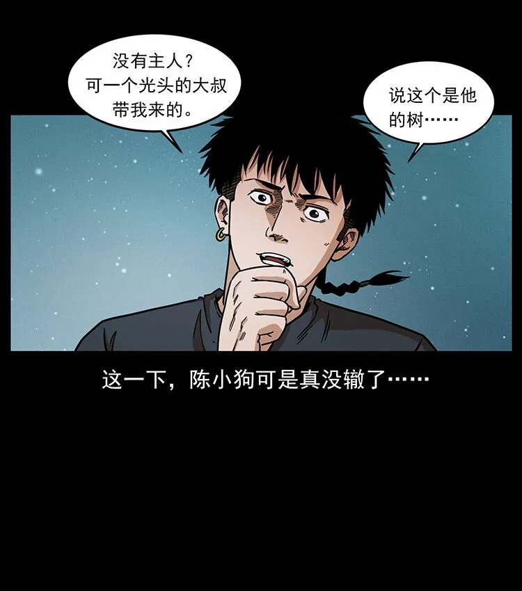 481 树 第72页