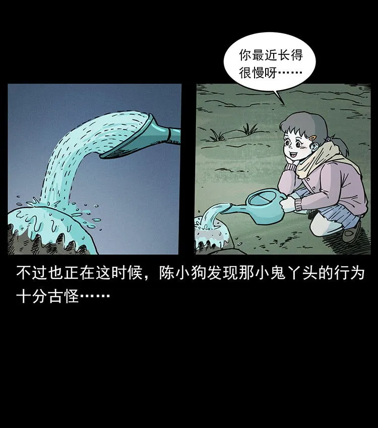 481 树 第75页