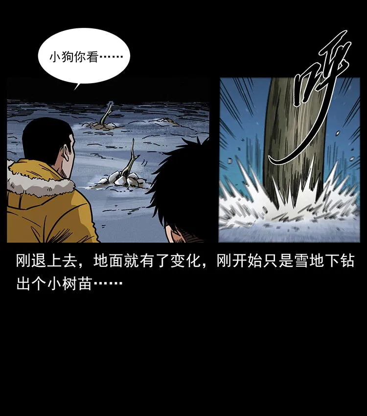 480 萨满来了！ 第14页