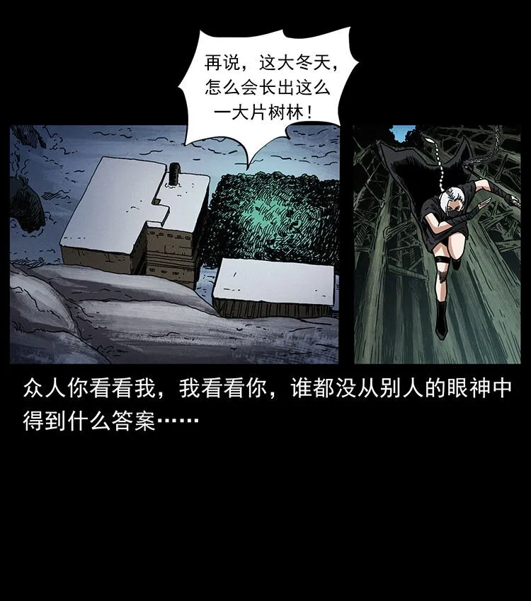 480 萨满来了！ 第19页