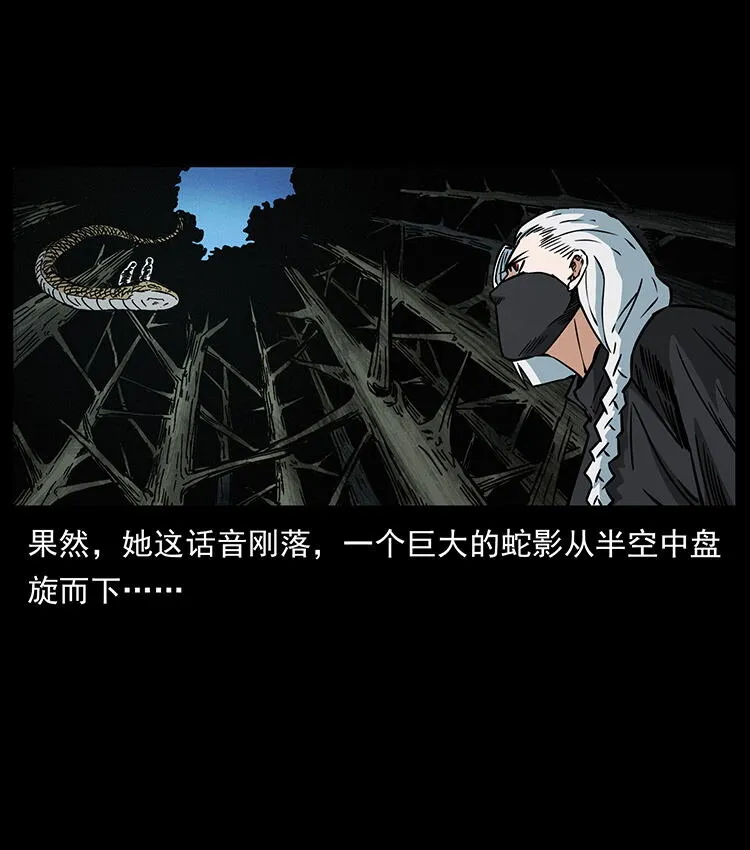 480 萨满来了！ 第24页
