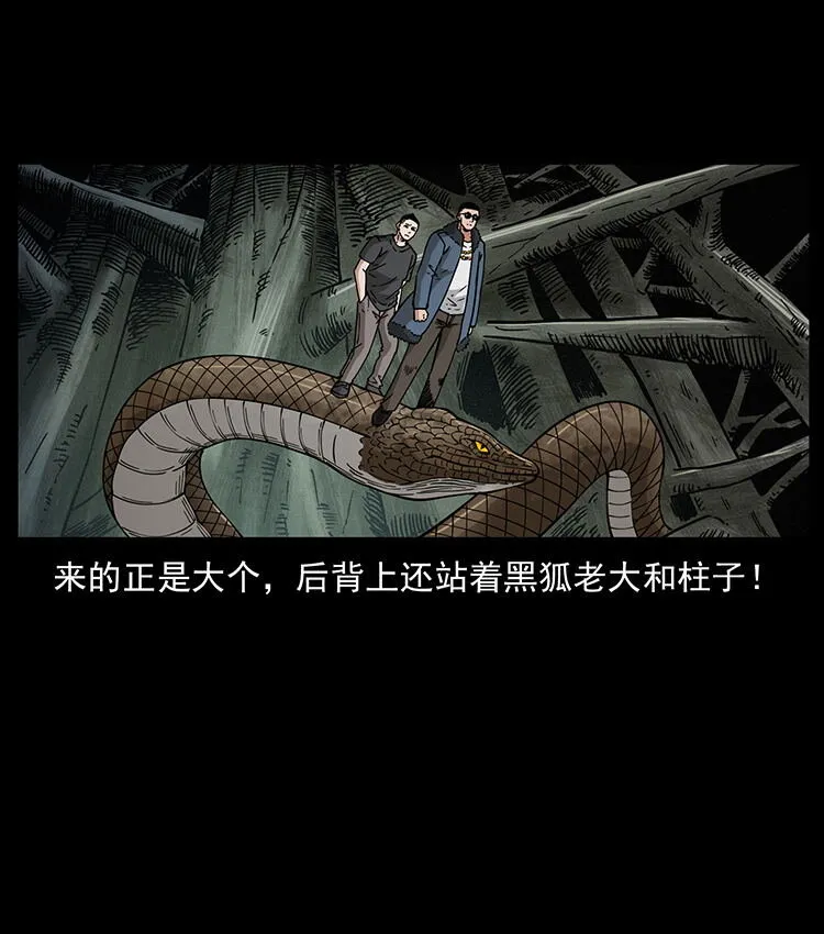 480 萨满来了！ 第25页