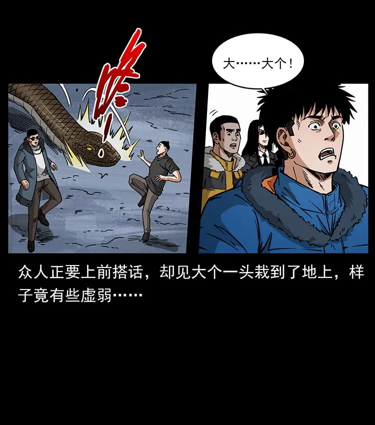 480 萨满来了！ 第27页