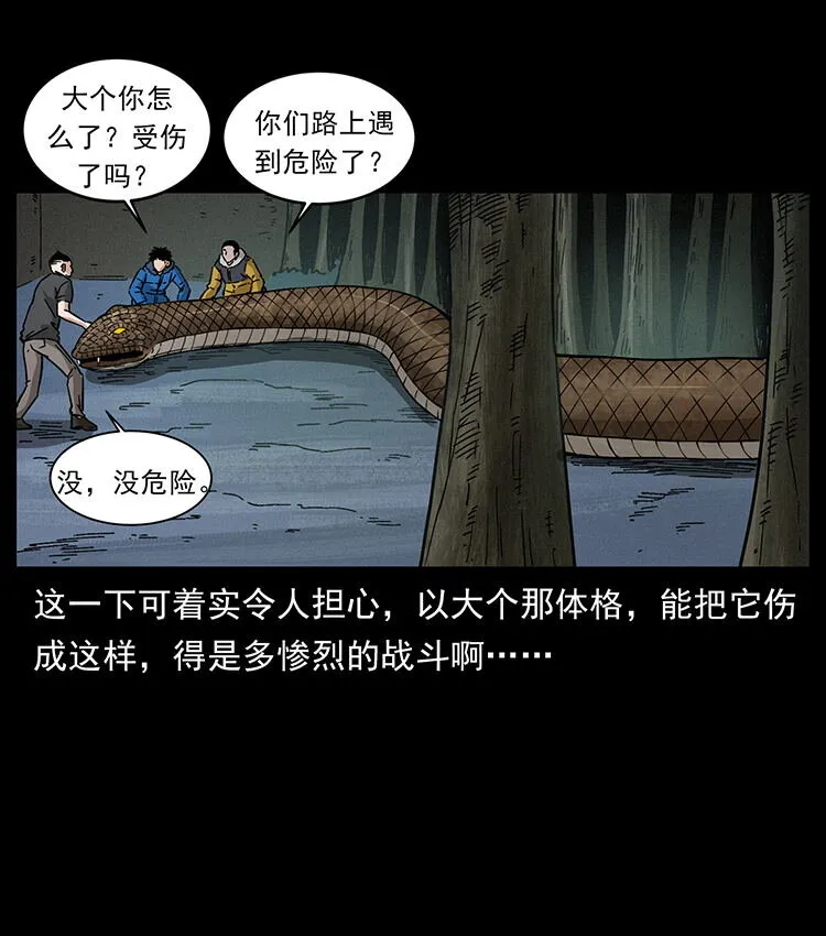 480 萨满来了！ 第28页