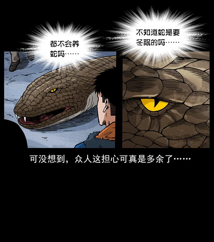 480 萨满来了！ 第29页