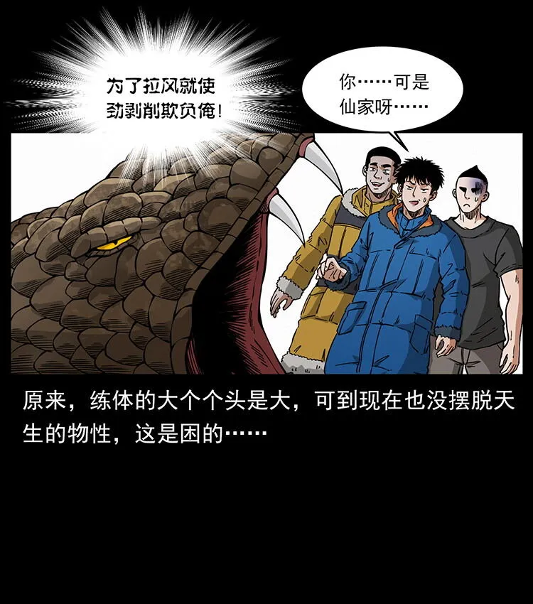 480 萨满来了！ 第30页