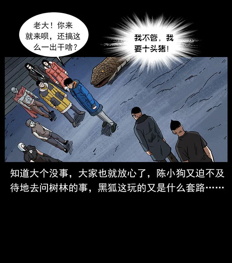 480 萨满来了！ 第31页