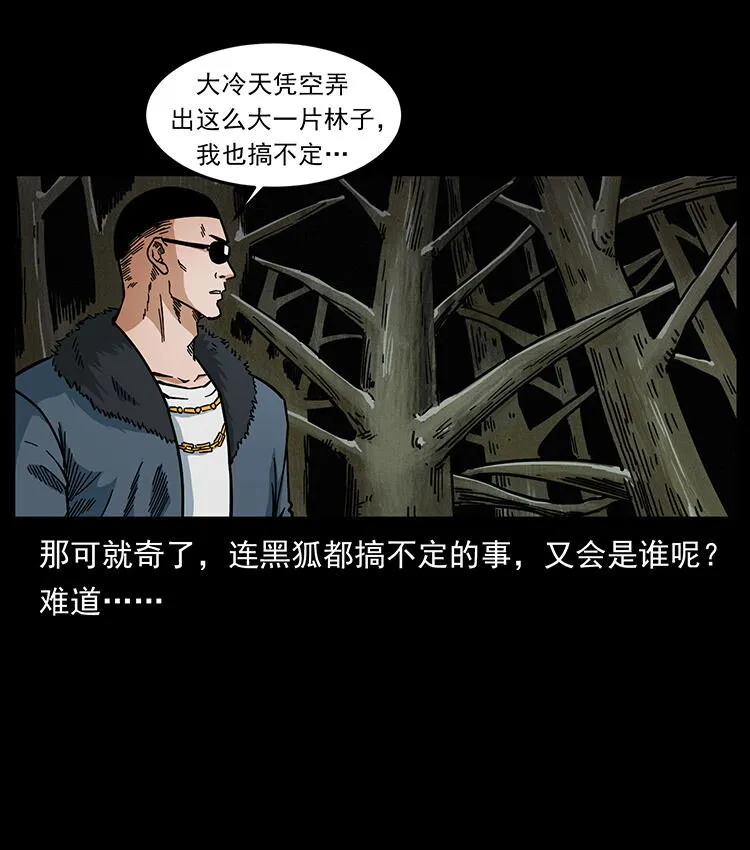 480 萨满来了！ 第33页