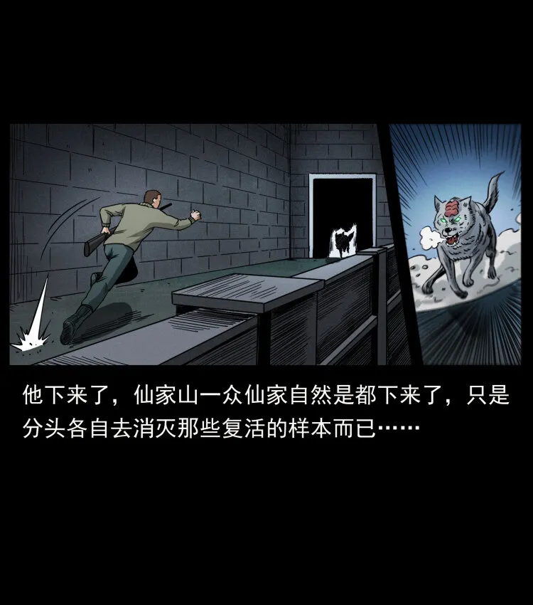 477 干他就完了！ 第74页