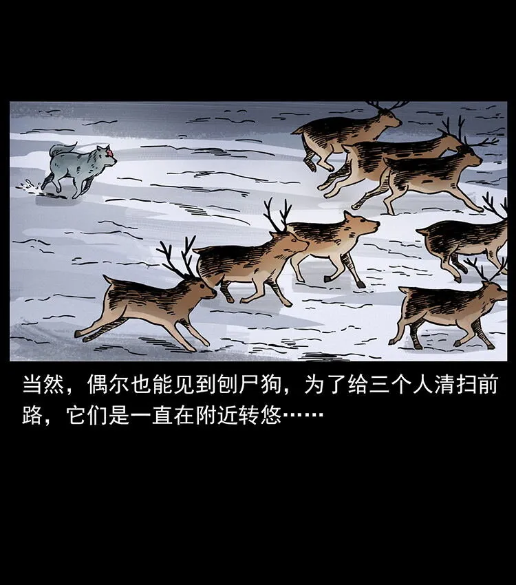 470 前辈的足迹 第17页