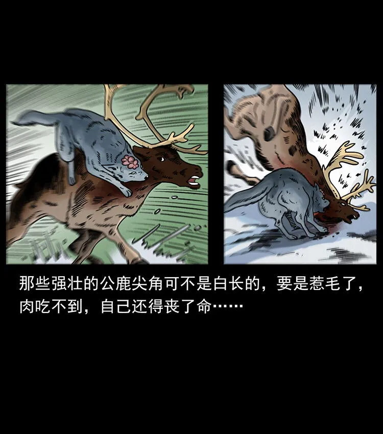 470 前辈的足迹 第19页