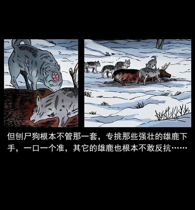470 前辈的足迹 第20页
