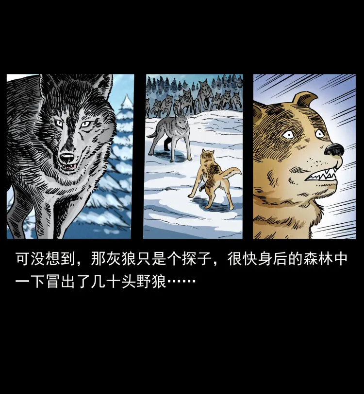 469 冻土的世界 第68页