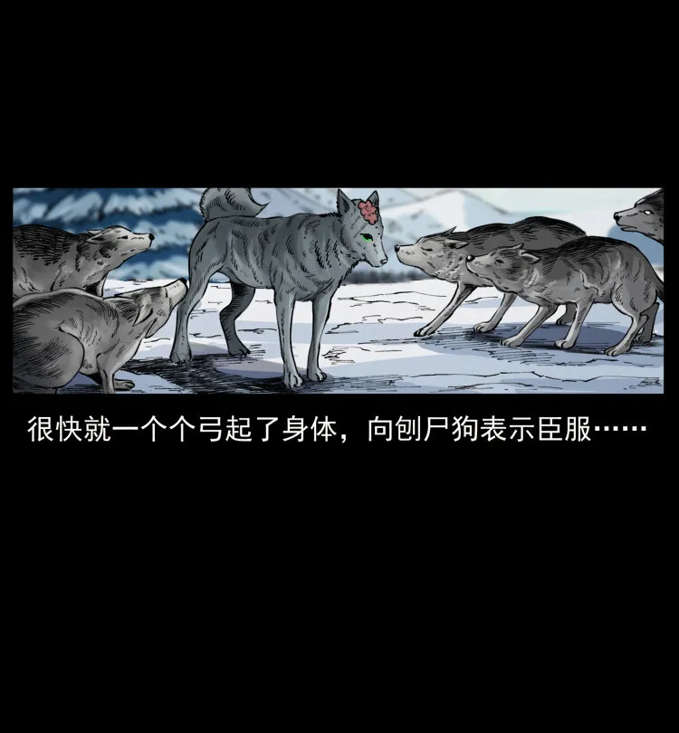 469 冻土的世界 第80页