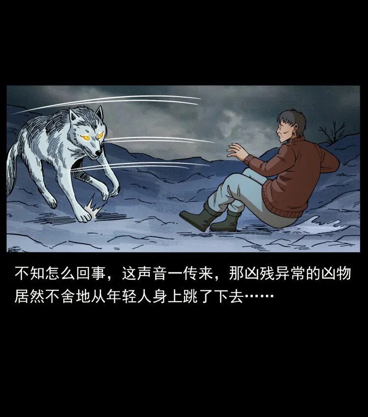 461 极地恶灵 第46页