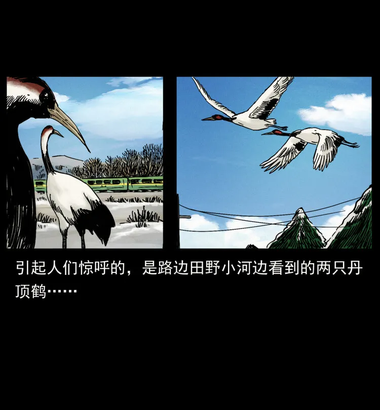461 极地恶灵 第78页