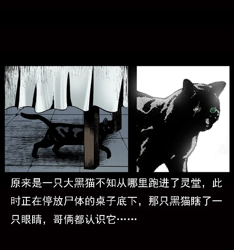 002 诈尸 第10页