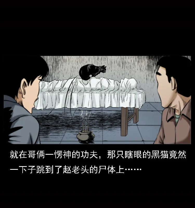 002 诈尸 第11页