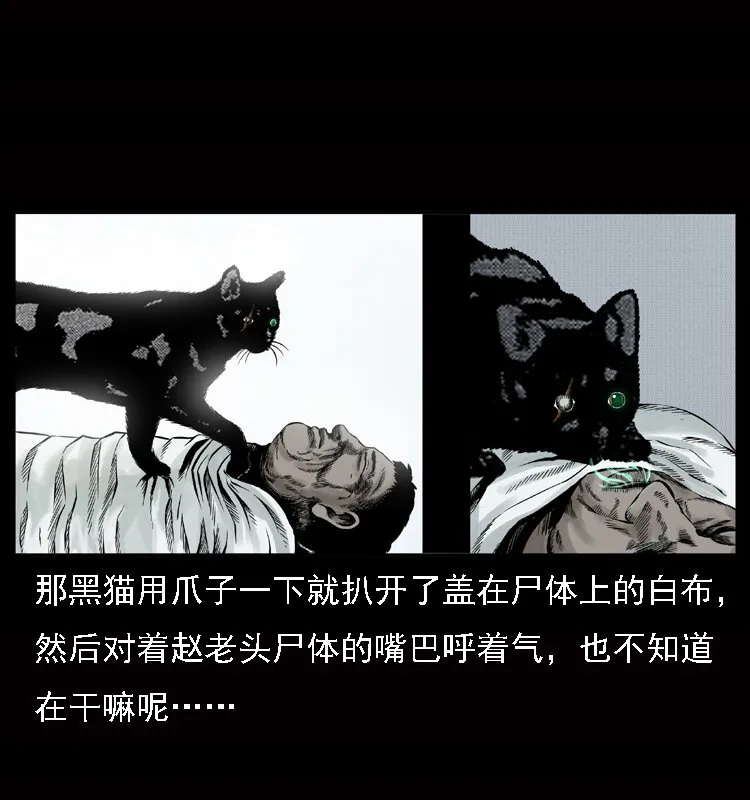 002 诈尸 第12页