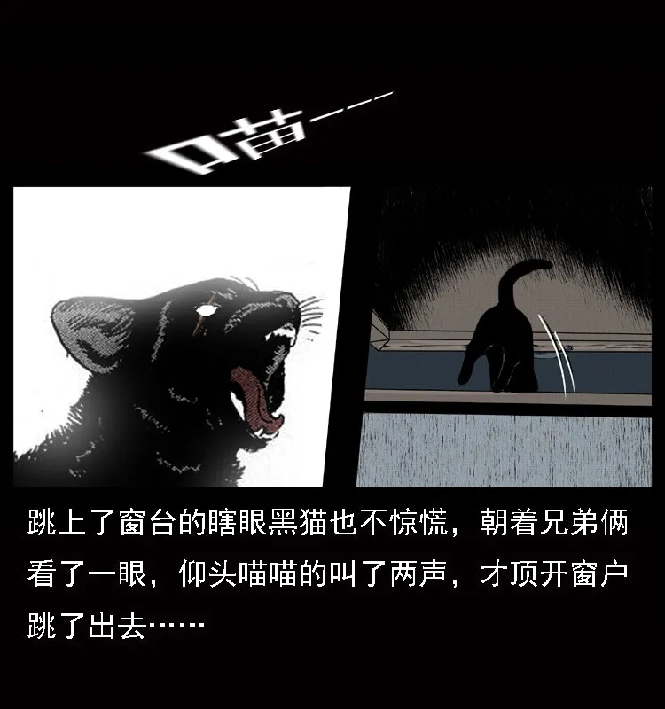 002 诈尸 第17页