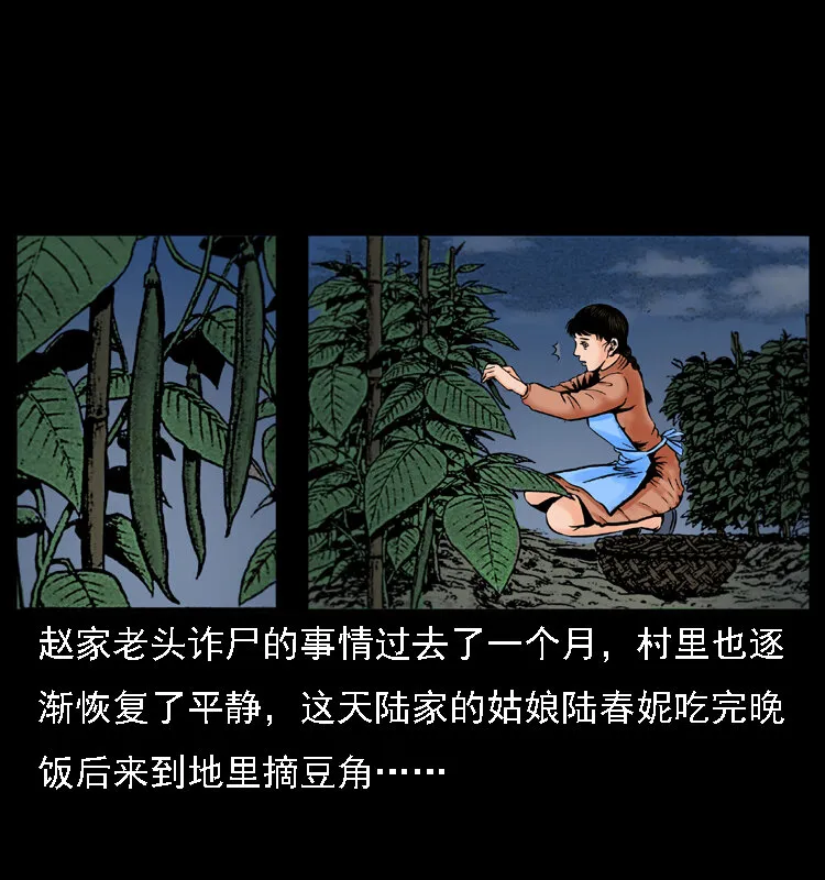 003 赵家的猫 第2页