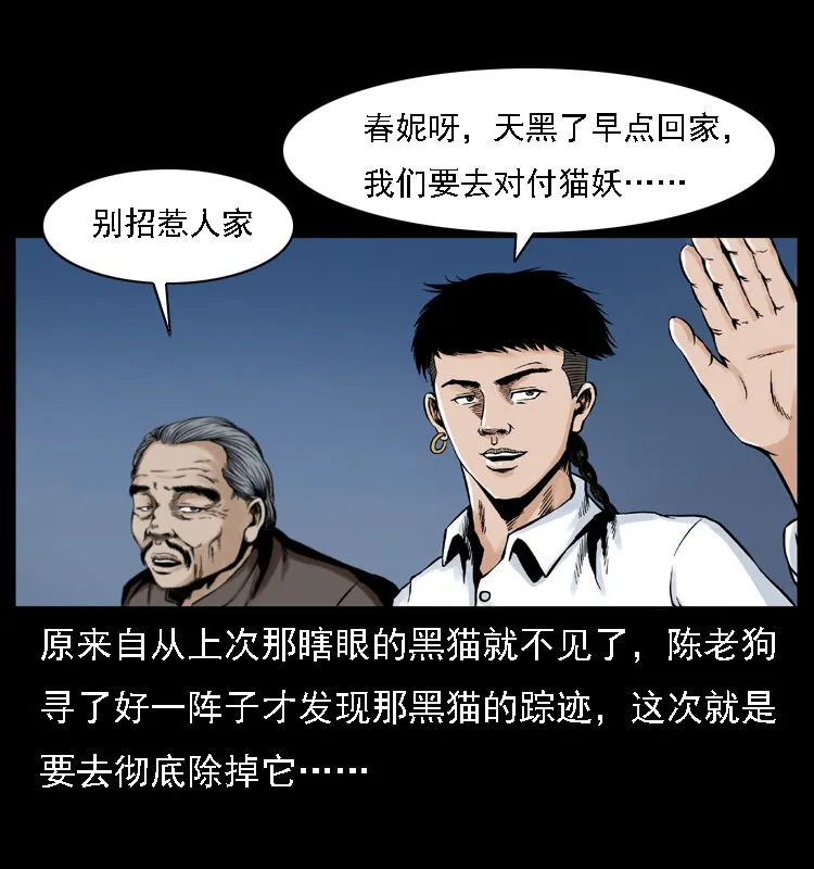 003 赵家的猫 第4页