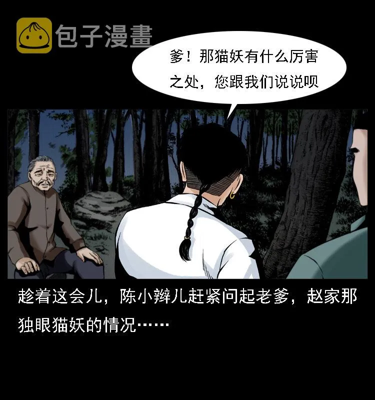 003 赵家的猫 第17页