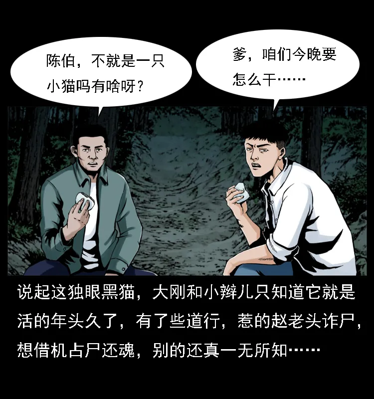 003 赵家的猫 第18页
