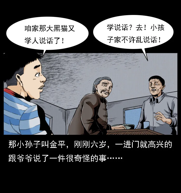 003 赵家的猫 第29页