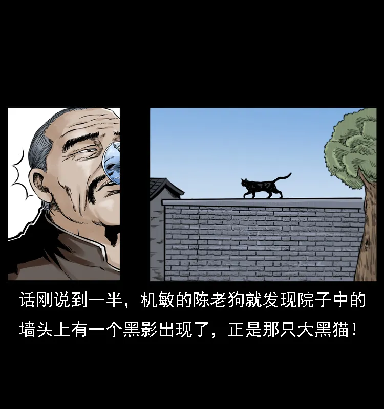 003 赵家的猫 第52页