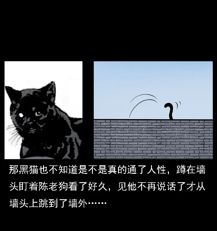 003 赵家的猫 第55页
