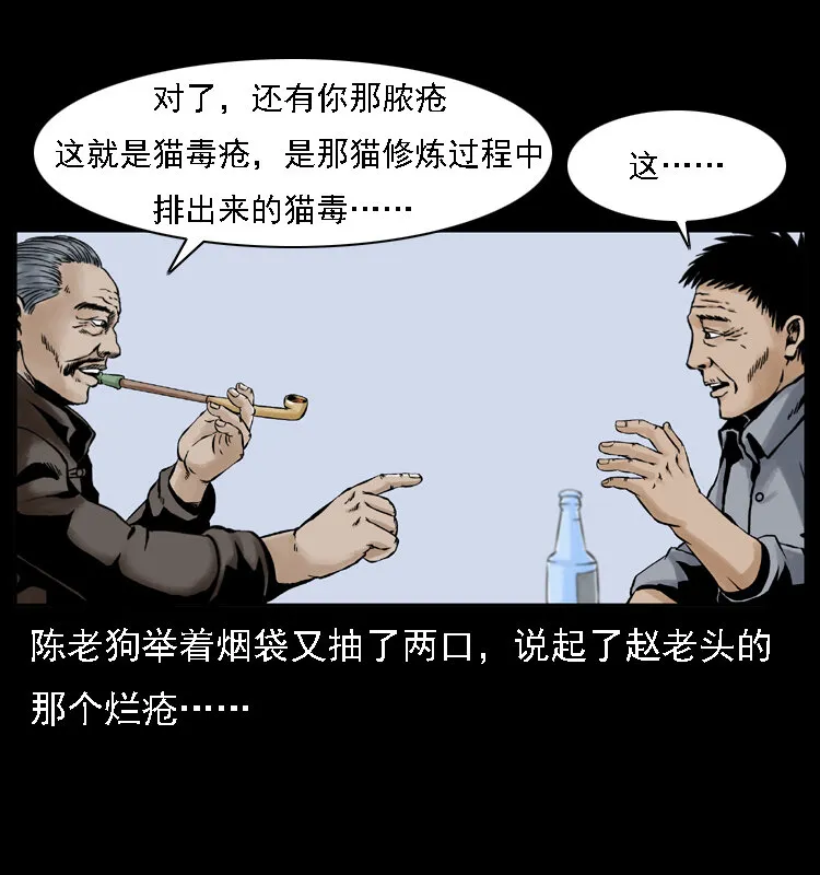 003 赵家的猫 第62页
