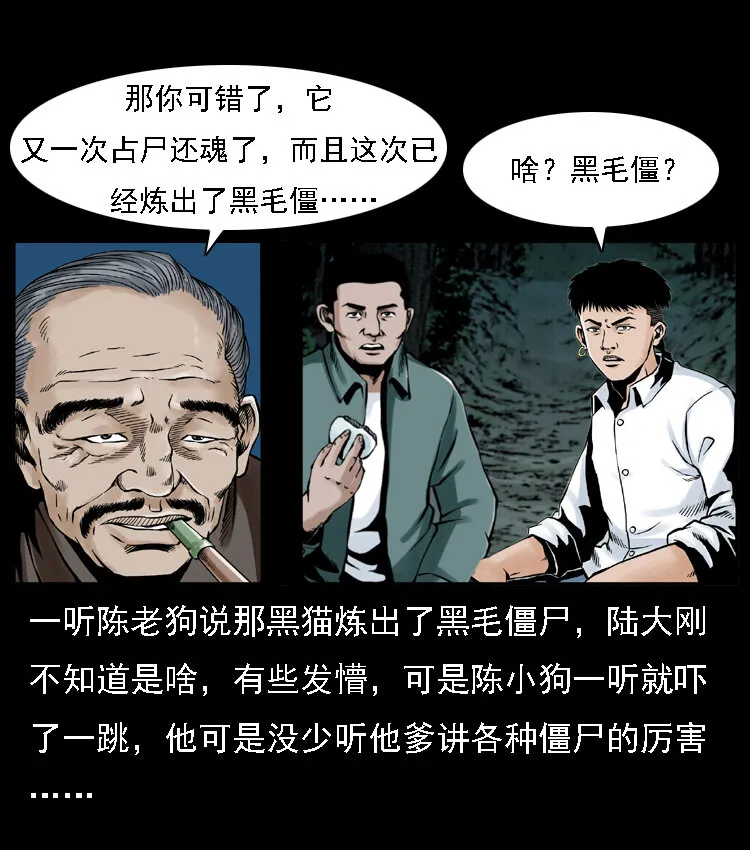 003 赵家的猫 第71页