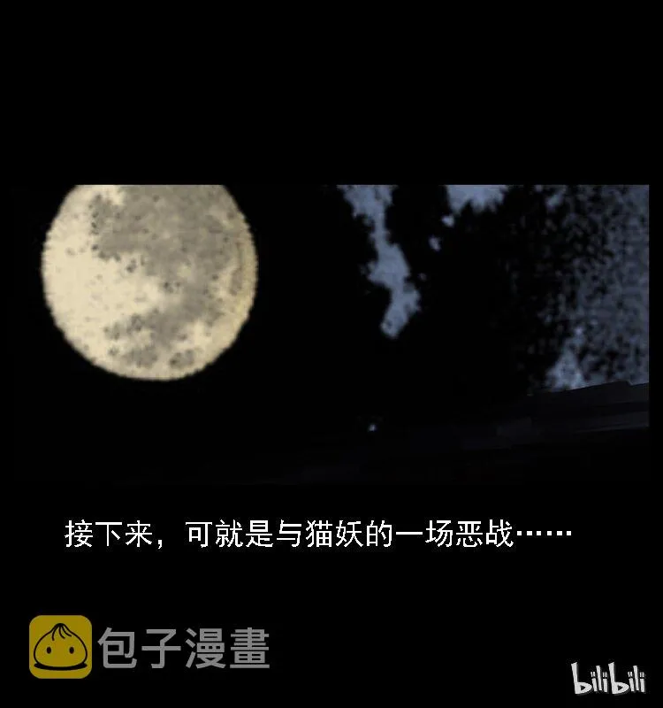 003 赵家的猫 第73页