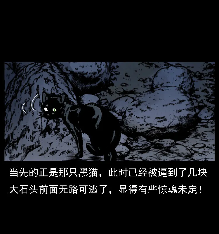004 猫妖 第58页