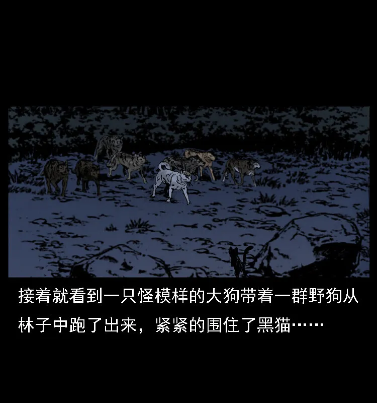 004 猫妖 第59页