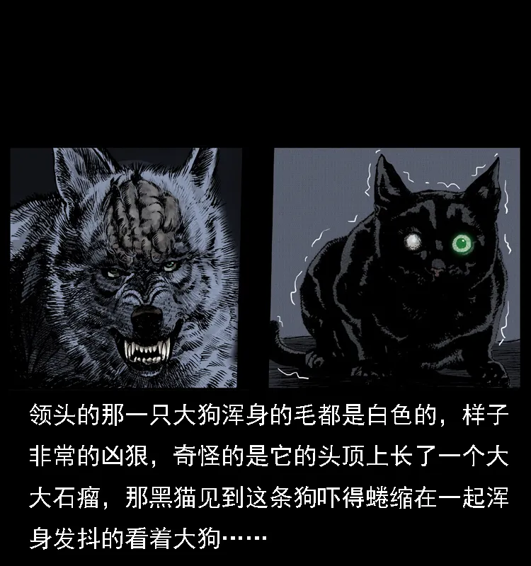 004 猫妖 第60页