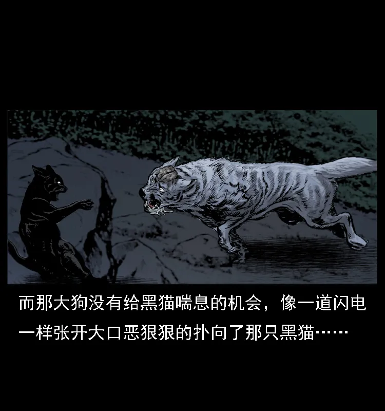 004 猫妖 第61页