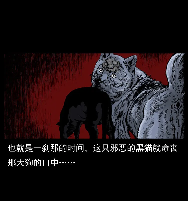 004 猫妖 第63页