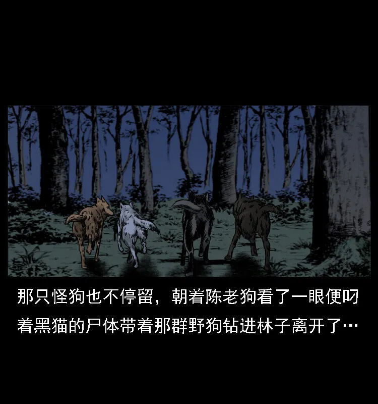 004 猫妖 第64页