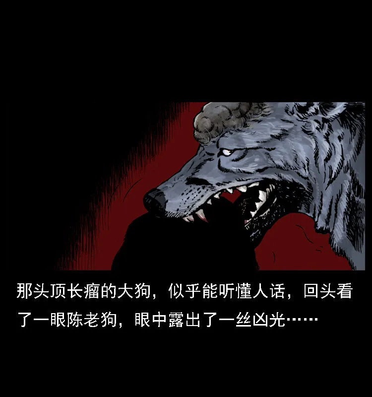 004 猫妖 第66页