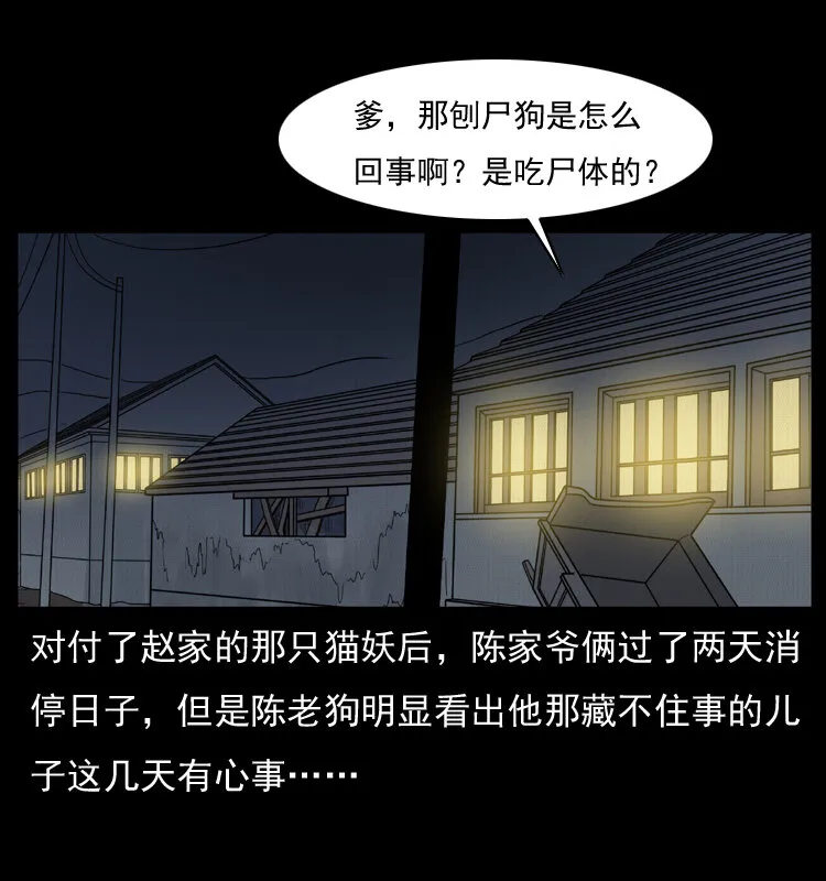 005 刨尸狗 第2页
