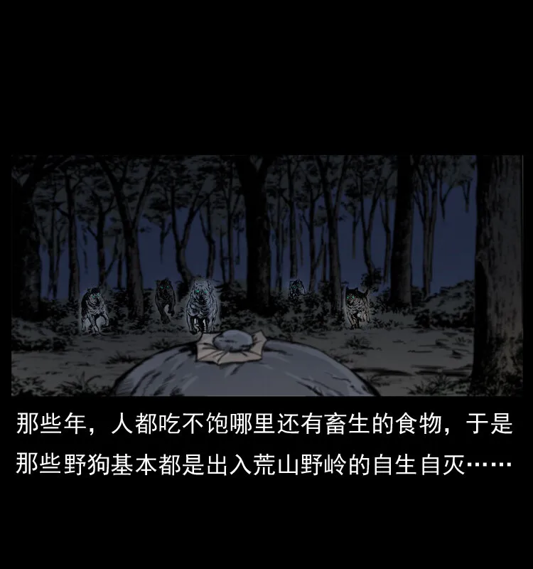 005 刨尸狗 第9页