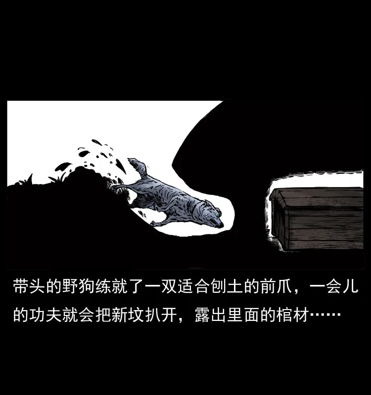 005 刨尸狗 第11页