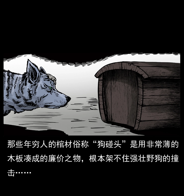 005 刨尸狗 第12页