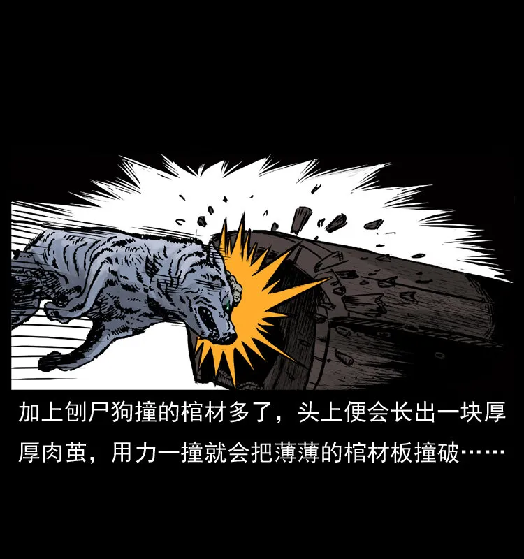 005 刨尸狗 第13页