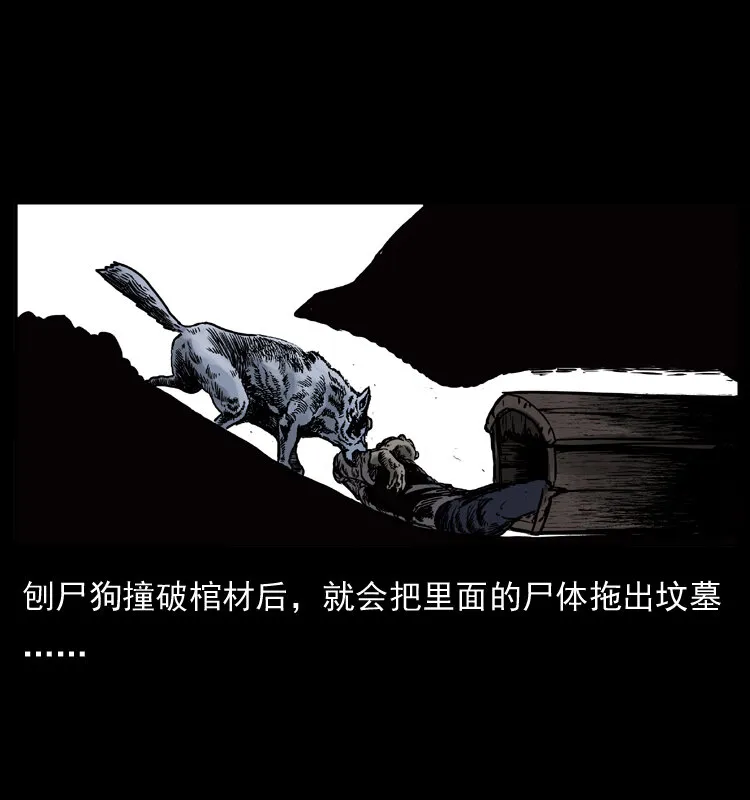 005 刨尸狗 第14页