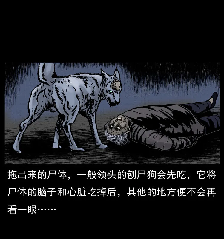 005 刨尸狗 第15页