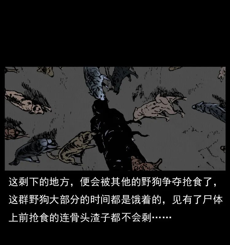 005 刨尸狗 第16页